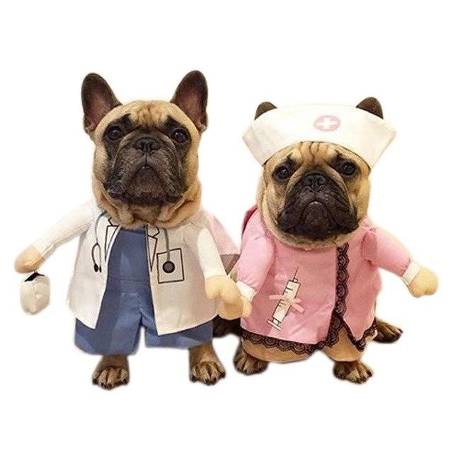 bộ quần áo bác sĩ cho chó quần áo chó mèo