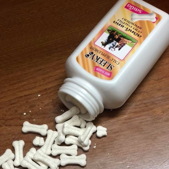 Canxi Sleeky giúp cún cưng ăn ngon miệng