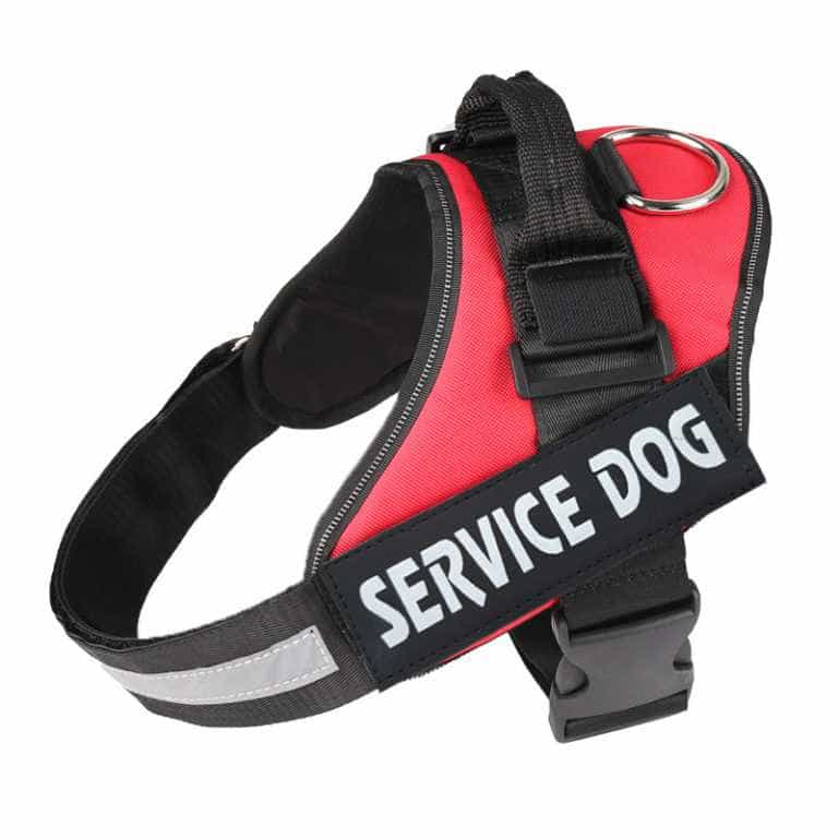 Đai Ngực Service Dog