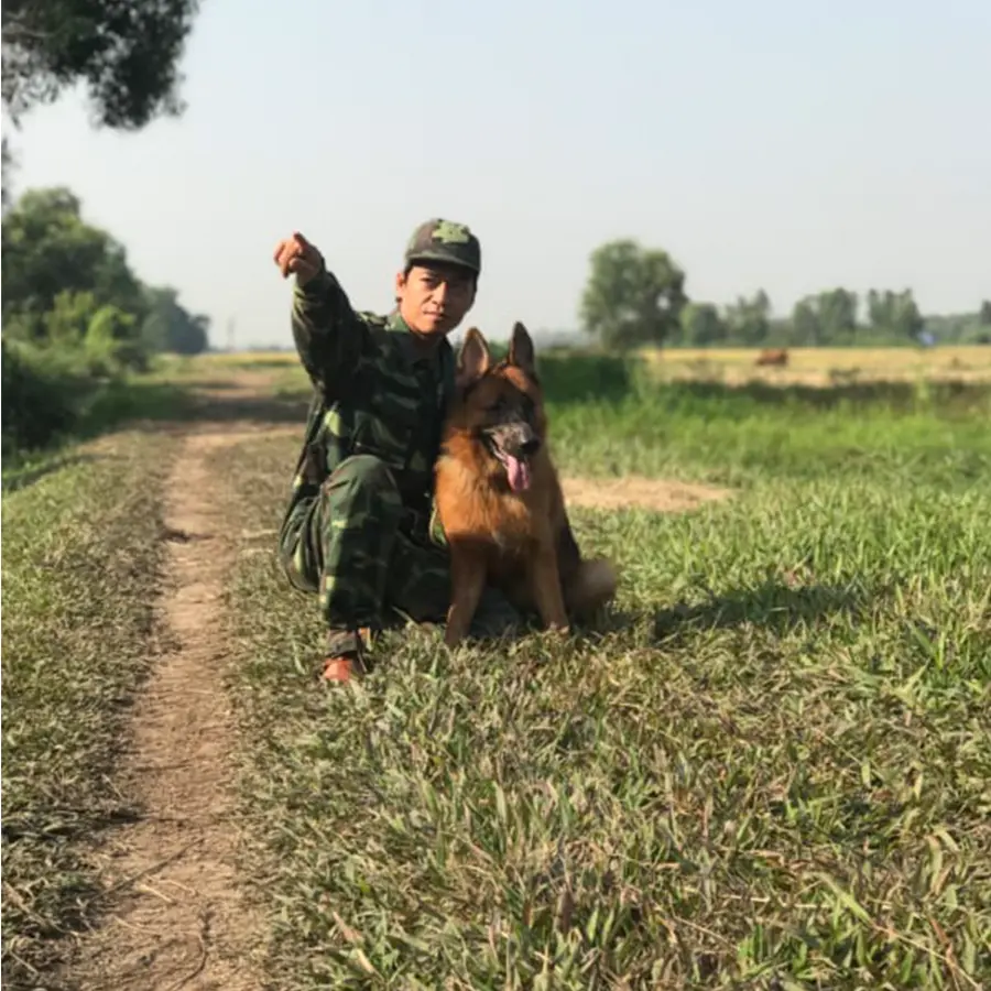 Huấn luyện chó Becgie