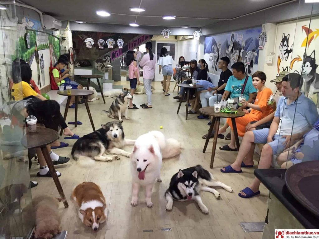 Mô hình cafe chó