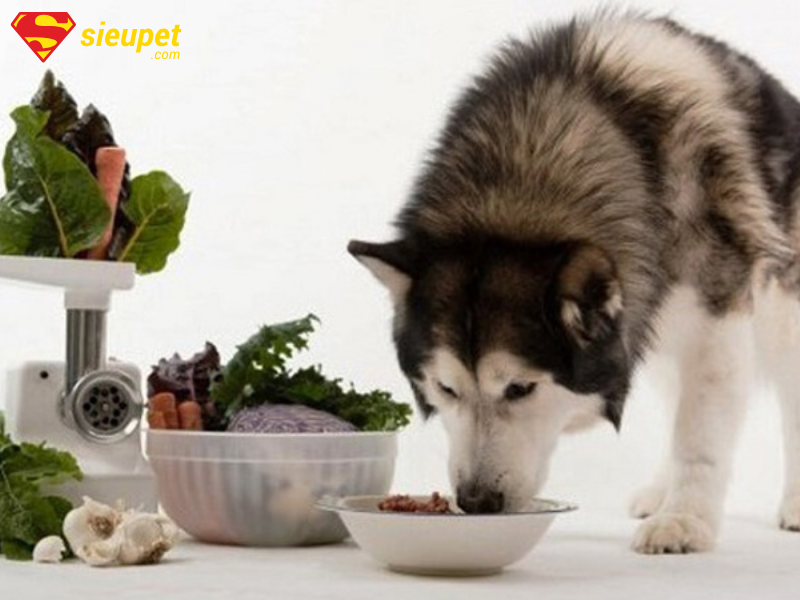 Canxi cho chó Alaska