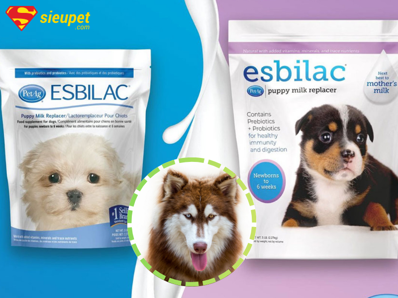 Các loại sữa cho Alaska