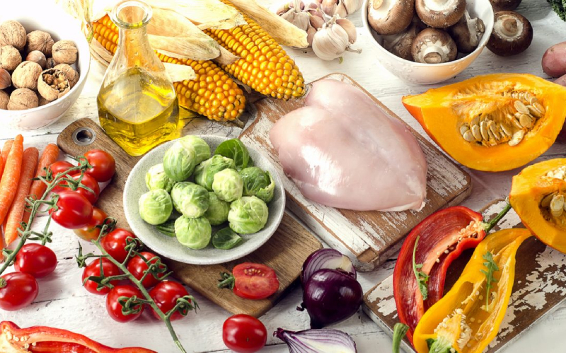 Nên cho chó Becgie ăn gì?