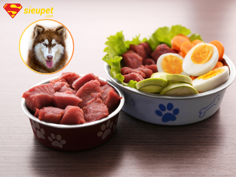 Tần suất ăn của chó Alaska