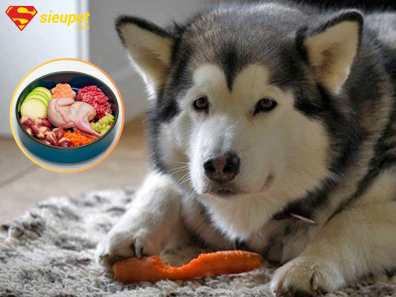 Cách nấu cho chó Alaska