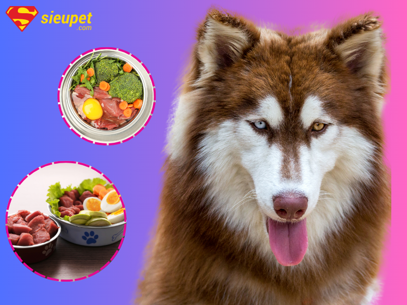 Nhu cầu dinh dưỡng của chó Alaska