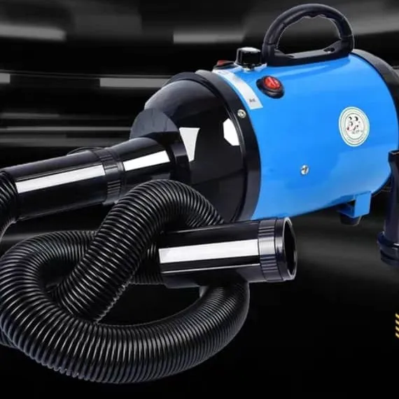 Máy sấy lông thú cưng