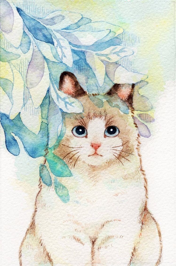 Xem rộng lớn 100 hình họa về hình vẽ mèo đẹp mắt - daotaonec