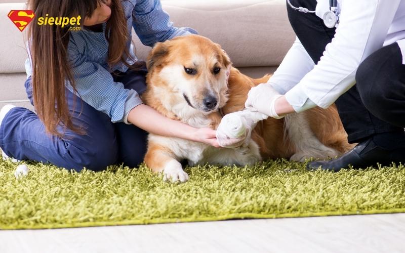 phòng tránh cho ho