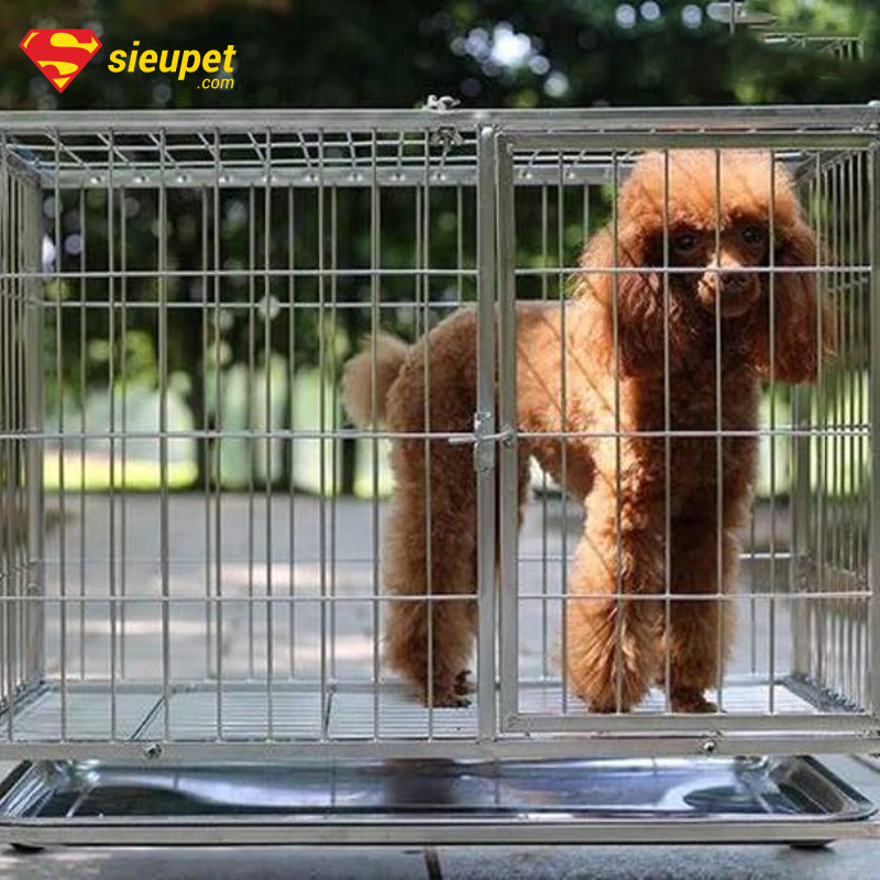 chuồng chó poodle