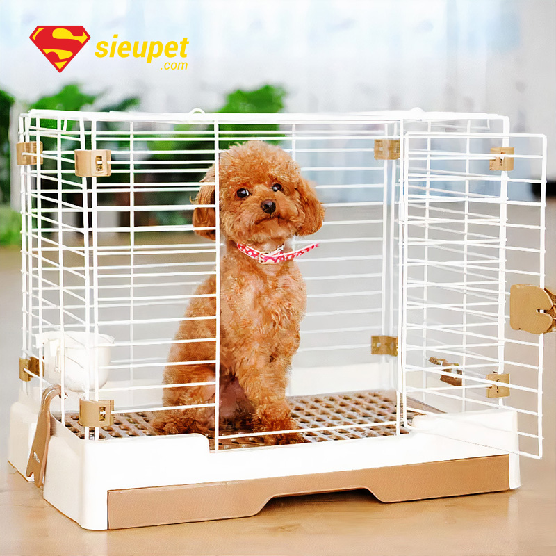 chuồng chó poodle