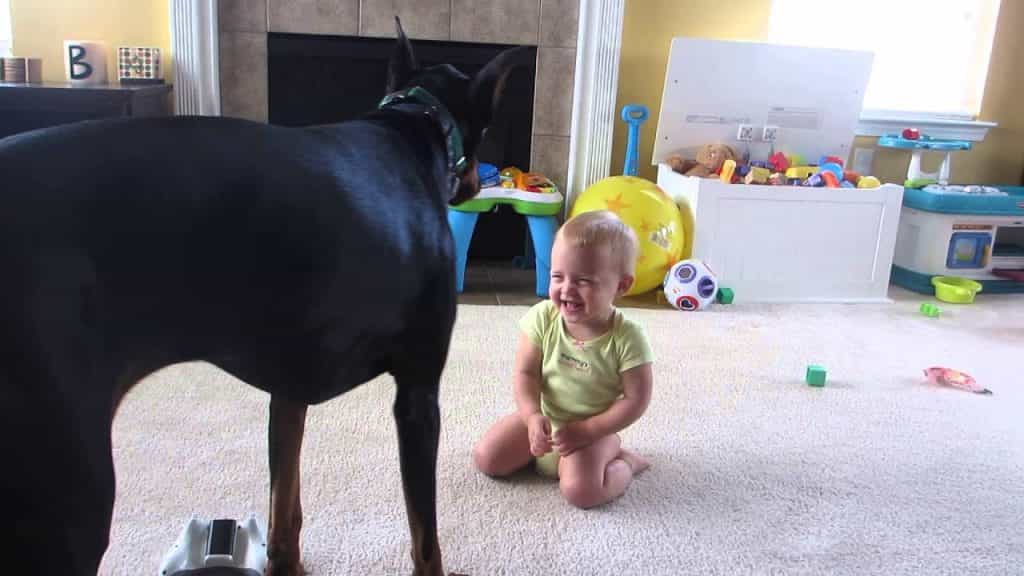 Một đứa trẻ tươi cười và một con Doberman đen đang đứng