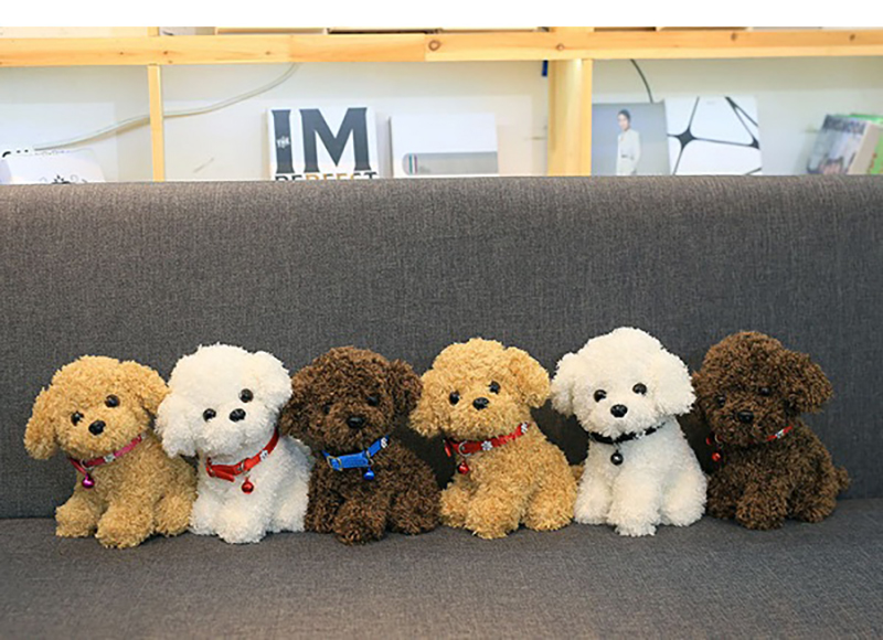 gấu bông chó poodle