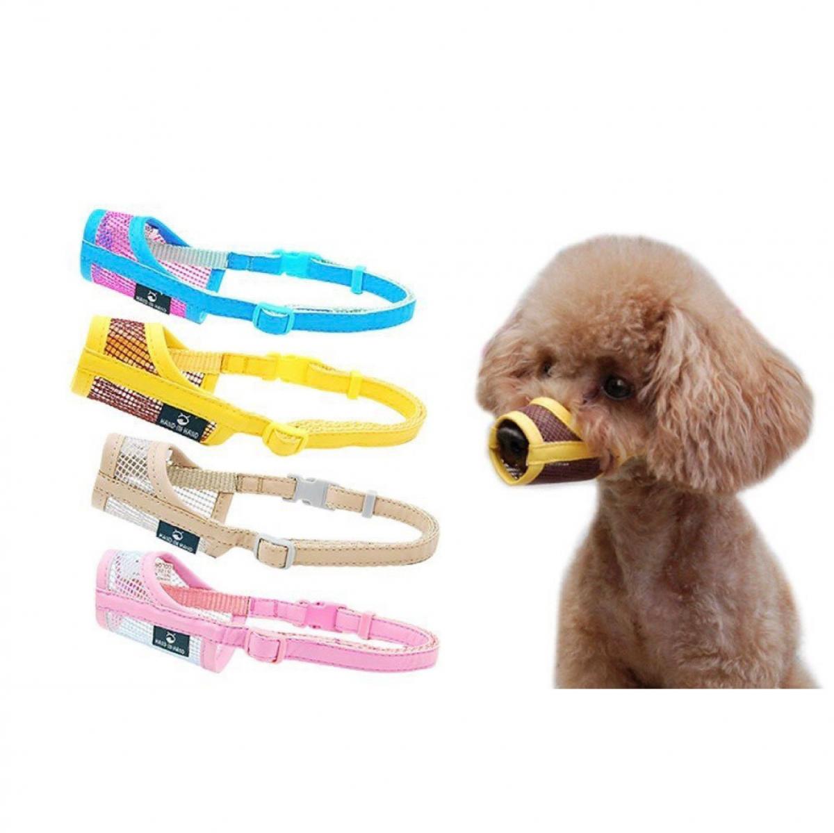 rọ mõm cho poodle