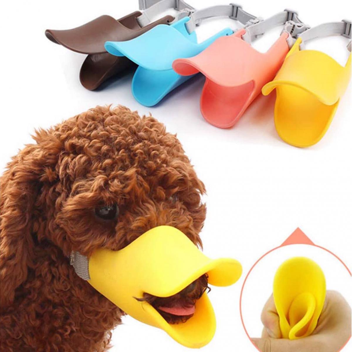 rọ mõm cho poodle