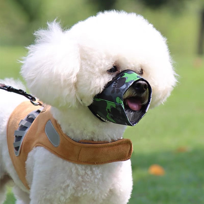 rọ mõm cho poodle