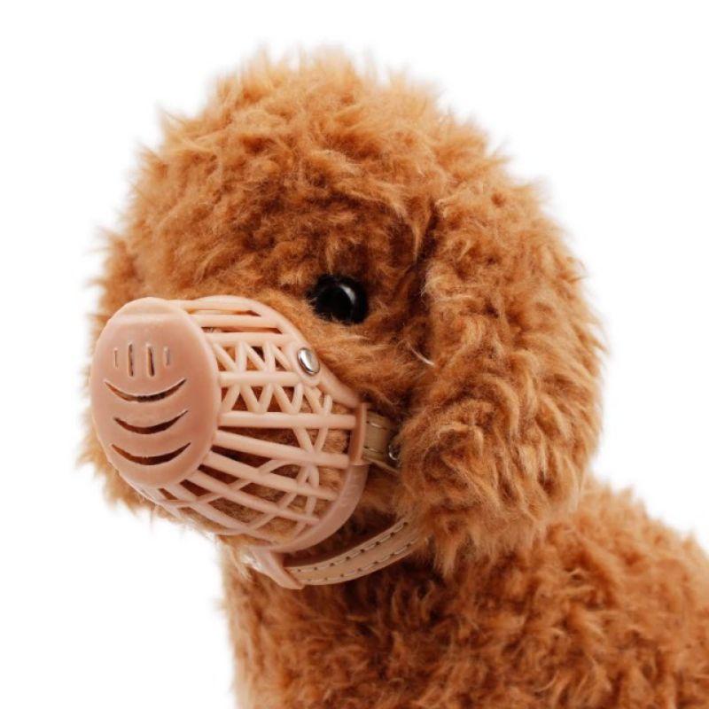 rọ mõm cho poodle