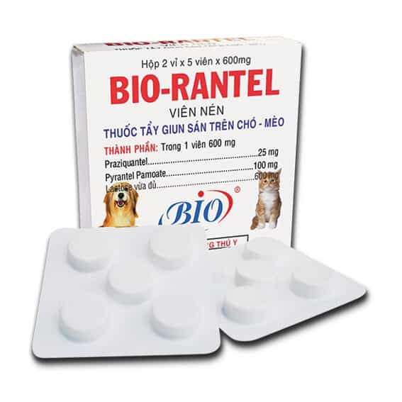 Hộp thuốc tẩy giun chó Bio-Rantel