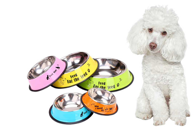 phụ kiện cho chó poodle