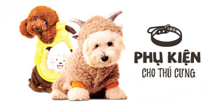 phụ kiện cho chó poodle