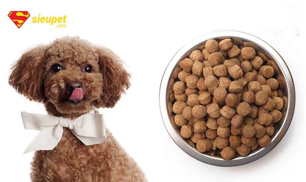 thức ăn cho chó poodle trưởng thành