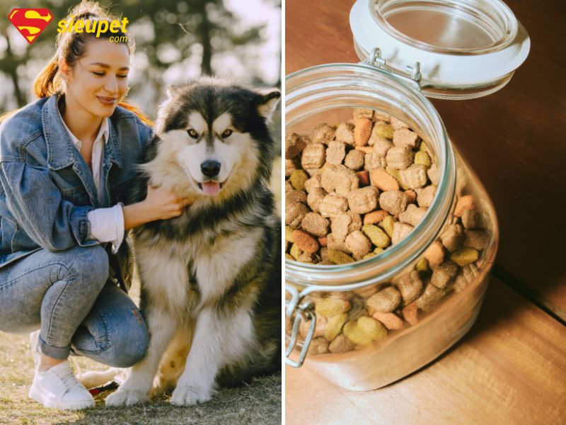 Thức ăn hạt cho chó Alaska