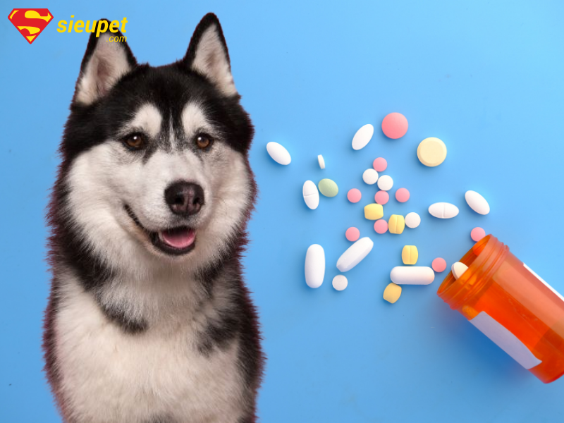 Thuốc tẩy giun cho chó Alaska