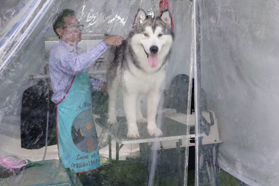 tia-long-cho-alaska